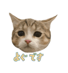 甘えんぼうのよぐ3（個別スタンプ：31）