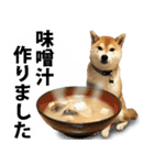 しゃべる柴犬（日常会話編6）（個別スタンプ：18）