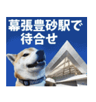 しゃべる柴犬（日常会話編6）（個別スタンプ：33）