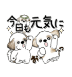 シーズー犬『天使と一緒』よく使う言葉（個別スタンプ：5）