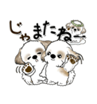 シーズー犬『天使と一緒』よく使う言葉（個別スタンプ：39）