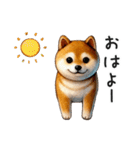 柴犬の状況報告【いま何してる？】（個別スタンプ：3）