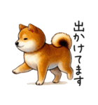 柴犬の状況報告【いま何してる？】（個別スタンプ：19）