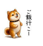 柴犬の状況報告【いま何してる？】（個別スタンプ：40）