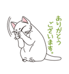 猫の好奇心（個別スタンプ：4）