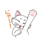 猫の好奇心（個別スタンプ：5）