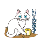 猫の好奇心（個別スタンプ：9）