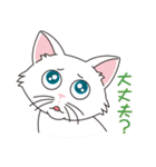 猫の好奇心（個別スタンプ：11）