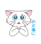 猫の好奇心（個別スタンプ：12）