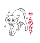 猫の好奇心（個別スタンプ：23）