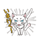 猫の好奇心（個別スタンプ：25）