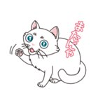 猫の好奇心（個別スタンプ：31）