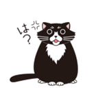 猫の好奇心（個別スタンプ：33）