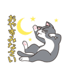猫の好奇心（個別スタンプ：40）