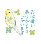 aoamoインコの敬語2（個別スタンプ：6）