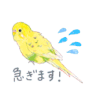 aoamoインコの敬語2（個別スタンプ：7）