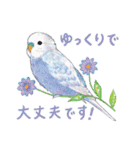 aoamoインコの敬語2（個別スタンプ：8）