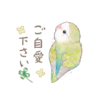 aoamoインコの敬語2（個別スタンプ：10）