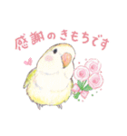 aoamoインコの敬語2（個別スタンプ：17）