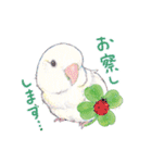 aoamoインコの敬語2（個別スタンプ：19）