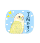 aoamoインコの敬語2（個別スタンプ：20）