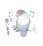 aoamoインコの敬語2（個別スタンプ：22）