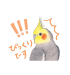 aoamoインコの敬語2（個別スタンプ：24）