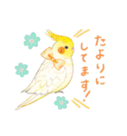 aoamoインコの敬語2（個別スタンプ：25）