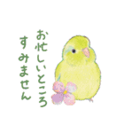 aoamoインコの敬語2（個別スタンプ：26）