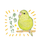 aoamoインコの敬語2（個別スタンプ：30）