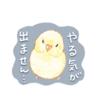 aoamoインコの敬語2（個別スタンプ：31）