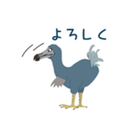 ドードーはい愚鳩（個別スタンプ：4）