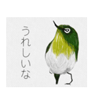 しあわせ運ぶメジロの目二郎さん（個別スタンプ：6）