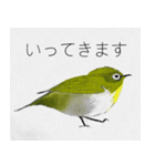 しあわせ運ぶメジロの目二郎さん（個別スタンプ：9）