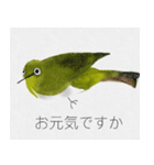 しあわせ運ぶメジロの目二郎さん（個別スタンプ：12）