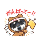 黒柴あずき君2（個別スタンプ：11）