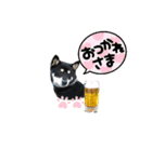 黒柴あずき君2（個別スタンプ：27）