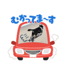 黒柴あずき君2（個別スタンプ：29）