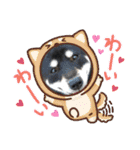 黒柴あずき君2（個別スタンプ：31）