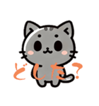 猫のこはるスタンプ（日常）（個別スタンプ：22）