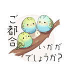 気遣いインコ（個別スタンプ：13）