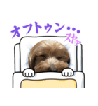 ばでぃたん（個別スタンプ：2）