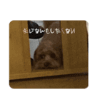 ばでぃたん（個別スタンプ：6）