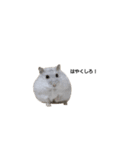 じゆうなはむず。（個別スタンプ：5）