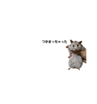 じゆうなはむず（個別スタンプ：1）
