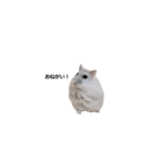 じゆうなはむず（個別スタンプ：8）