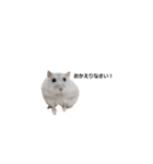 じゆうなはむず（個別スタンプ：14）