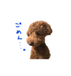 気性の荒い犬（個別スタンプ：2）
