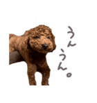 気性の荒い犬（個別スタンプ：4）