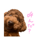 気性の荒い犬（個別スタンプ：5）